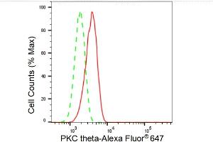 anti-Protein Kinase C, theta (PRKCQ) antibody