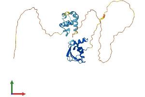 Protein Structure (PS) image for Ets Homologous Factor (EHF) (AA 1-300) protein (His tag) (ABIN7547357)