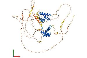 Protein Structure (PS) image for POU Class 3 Homeobox 3 (POU3F3) (AA 1-500) protein (His tag) (ABIN7550791)