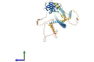 Protein Structure (PS) image for Sad1 and UNC84 Domain Containing 2 (SUN2) (AA 1-731) protein (His tag) (ABIN7564373)