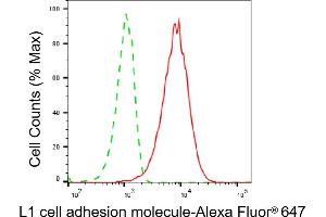 Flow cytometric analysis of L1 cell adhesion molecule expression in HepG2 cells using L1 cell adhesion molecule antibody (ABIN7799218), 1:2,000). (L1CAM 抗体)