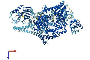 Pol (AA 1-1281) protein (His tag)