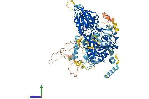 Protein Structure (PS) image for FIG4 Homolog, SAC1 Lipid Phosphatase Domain Containing (FIG4) (AA 1-907) protein (His tag) (ABIN7553895)