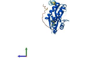 Protein Structure (PS) image for U6 SnRNA Biogenesis 1 (USB1) (AA 1-265) protein (His tag) (ABIN7545053)