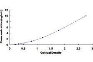 ELISA image for Mannose-Binding Lectin (Protein C) 2, Soluble (MBL2) ELISA Kit (ABIN6730932)