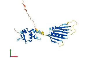 AlphaFold protein structure predicition of Mouse Recombinant Kcnrg Protein, UniprotID Q2TUM3