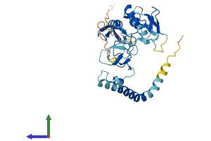 Protein Structure (PS) image for Ring Finger Protein 144A (RNF144A) (AA 1-292) protein (His tag) (ABIN7560272)