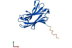 Protein Structure (PS) image for Galectin-Related Inter-Fiber Protein (GRIFIN) (AA 1-144) protein (His tag) (ABIN7560894)