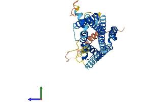 Protein Structure (PS) image for Melanocortin 4 Receptor (MC4R) (AA 1-332) protein (His tag) (ABIN7549277)