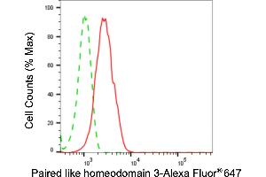 Flow cytometric analysis of paired like homeodomain 3 expression in HepG2 cells using paired like homeodomain 3 antibody (ABIN7799838), 1:2,000). (Recombinant PITX3 抗体)