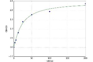 Creatine Kinase, Mitochondrial 1A (CKMT1A) ELISA Kit