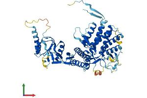 Protein Structure (PS) image for McKusick-Kaufman Syndrome (MKKS) (AA 1-570) protein (His tag) (ABIN7561534)