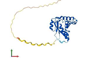 AlphaFold protein structure predicition of Human Recombinant SOCS1 Protein, UniprotID O15524