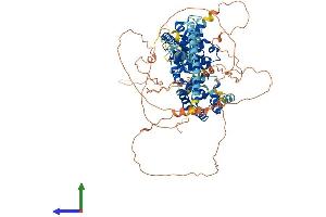 AlphaFold protein structure predicition of Human Recombinant TBC1D5 Protein, UniprotID Q92609