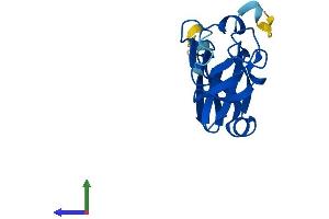 AlphaFold protein structure predicition of Human Recombinant RFESD Protein, UniprotID Q8TAC1