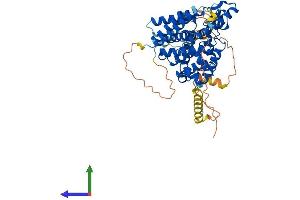 Protein Structure (PS) image for phosphodiesterase 1B, Calmodulin-Dependent (PDE1B) (AA 1-535) protein (His tag) (ABIN7556856)