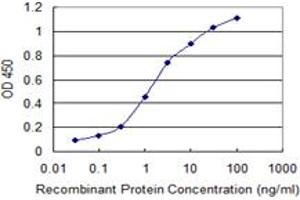 Detection limit for recombinant GST tagged PXDN is 0. (Peroxidasin 抗体  (AA 1452-1561))