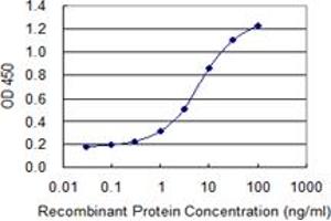 Detection limit for recombinant GST tagged MAP4 is 0. (MAP4 抗体  (AA 1-99))