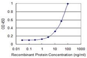 Detection limit for recombinant GST tagged FH is 0. (FH 抗体  (AA 33-510))