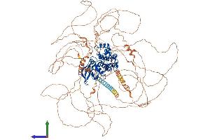 Protein Structure (PS) image for tau Tubulin Kinase 1 (Ttbk1) (AA 1-1321) protein (His tag) (ABIN7555909)