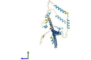 AlphaFold protein structure predicition of Mouse Recombinant Fez2 Protein, UniprotID Q6TYB5