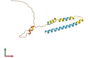 AlphaFold protein structure predicition of Human Recombinant IFITM3 Protein, UniprotID Q01628