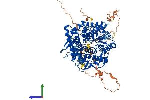 Protein Structure (PS) image for Mannosidase, Alpha, Class 1C, Member 1 (MAN1C1) (AA 1-630) protein (His tag) (ABIN7554514)