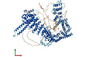 Protein Structure (PS) image for Stromal Antigen 1 (STAG1) (AA 1-1258) protein (His tag) (ABIN7564979)