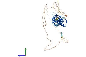 Protein Structure (PS) image for Transcription Factor AP-2 alpha (Activating Enhancer Binding Protein 2 Alpha) (TFAP2A) (AA 1-437) protein (His tag) (ABIN7563149)