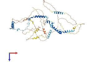 PHACTR1 Protein (AA 1-580) (His tag)