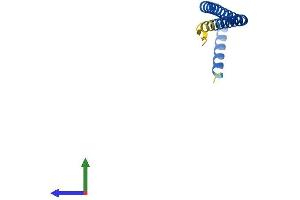 Protein Structure (PS) image for MEF2B Neighbor (MEF2BNB) (AA 1-120) protein (His tag) (ABIN7561059)