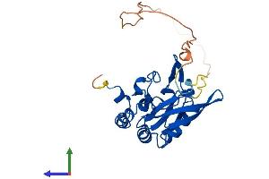 Protein Structure (PS) image for CTD (Carboxy-terminal Domain, RNA Polymerase II, Polypeptide A) Small Phosphatase 1 (CTDSP1) (AA 1-261) protein (His tag) (ABIN7556520)