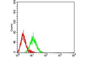Flow cytometric analysis of HL-60 cells using CD49C mouse mAb (green) and negative control (red). (ITGA3 抗体  (AA 63-248))