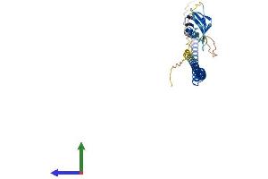 AlphaFold protein structure predicition of Mouse Recombinant Brms1l Protein, UniprotID Q3U1T3
