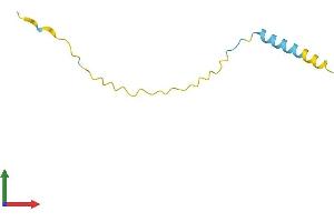 AlphaFold protein structure predicition of Human Recombinant SPANXN5 Protein, UniprotID Q5MJ07