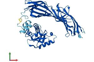 Protein Structure (PS) image for Adaptor-Related Protein Complex 3, mu 2 Subunit (AP3M2) (AA 1-418) protein (His tag) (ABIN7552128)
