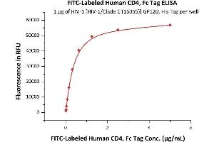 ELISA image for CD4 (CD4) (AA 26-396) (Active) protein (Fc Tag,FITC) (ABIN6923184)