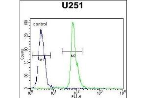 Flow Cytometry (FACS) image for anti-Coatomer Protein Complex, Subunit zeta 2 (COPZ2) (AA 156-184), (C-Term) antibody (ABIN651368)