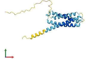 Protein Structure (PS) image for CKLF-Like MARVEL Transmembrane Domain Containing 6 (CMTM6) (AA 1-183) protein (His tag) (ABIN7546553)