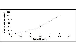 Typical standard curve (HDAC2 ELISA 试剂盒)