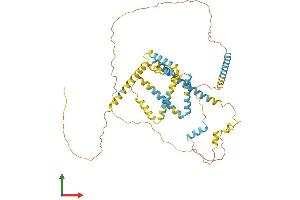 Protein Structure (PS) image for Family with Sequence Similarity 134, Member B (FAM134B) (AA 1-480) protein (His tag) (ABIN7559893)