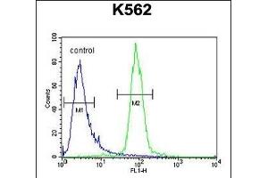 hCG_2024410 Antibody (C-term) (ABIN654993 and ABIN2850479) flow cytometric analysis of K562 cells (right histogram) compared to a negative control cell (left histogram). (hCG_2024410 (AA 187-215), (C-Term) 抗体)