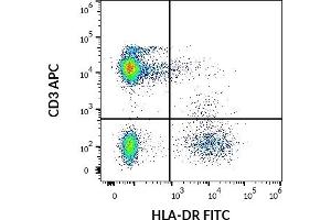 Flow cytometry multicolor surface staining pattern of human lymphocytes using anti-human HLA-DR (MEM-12) FITC antibody (20 μL reagent / 100 μL of peripheral whole blood) and anti-human CD3 (UCHT1) APC antibody (10 μL reagent / 100 μL of peripheral whole blood). (HLA-DR 抗体  (FITC))