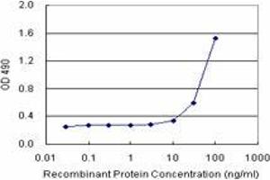 Sandwich ELISA detection sensitivity ranging from 10 ng/mL to 100 ng/mL. (PPP2R3B (人) Matched Antibody Pair)