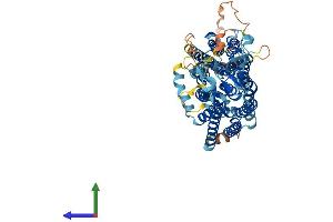 Protein Structure (PS) image for Solute Carrier Organic Anion Transporter Family, Member 2A1 (SLCO2A1) (AA 1-643) protein (His tag) (ABIN7561386)