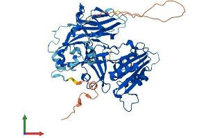 Protein Structure (PS) image for Cytochrome B5 Reductase 4 (CYB5R4) (AA 1-528) protein (His tag) (ABIN7557057)