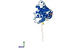 AlphaFold protein structure predicition of Human Recombinant CNOT9 Protein, UniprotID Q92600