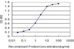 Detection limit for recombinant GST tagged RNF2 is approximately 0. (RNF2 抗体  (AA 192-290))