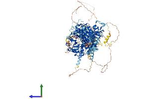 Protein Structure (PS) image for Potassium Large Conductance Calcium-Activated Channel, Subfamily M, alpha Member 1 (KCNMA1) (AA 1-1236) protein (His tag) (ABIN7554321)