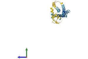 AlphaFold protein structure predicition of Human Recombinant TMEM176A Protein, UniprotID Q96HP8